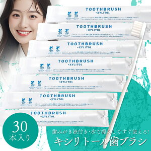 ���u���V �g���̂� ���u���V �Ɩ��p HOKUTO �L�V���g�[�����u���V 30�{�Z�b�g ���s �L�����v �z�e�� �A���j�e�B �n�~�K�L�t�� ���{�� ���Y �C���X�^���g���u���V �