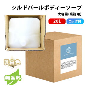 {fB\[v Ɩp Ɩp{fB[\[v Vhp[ {fB\[v 20L RbNt  F@F Y HOKUTO kllbg