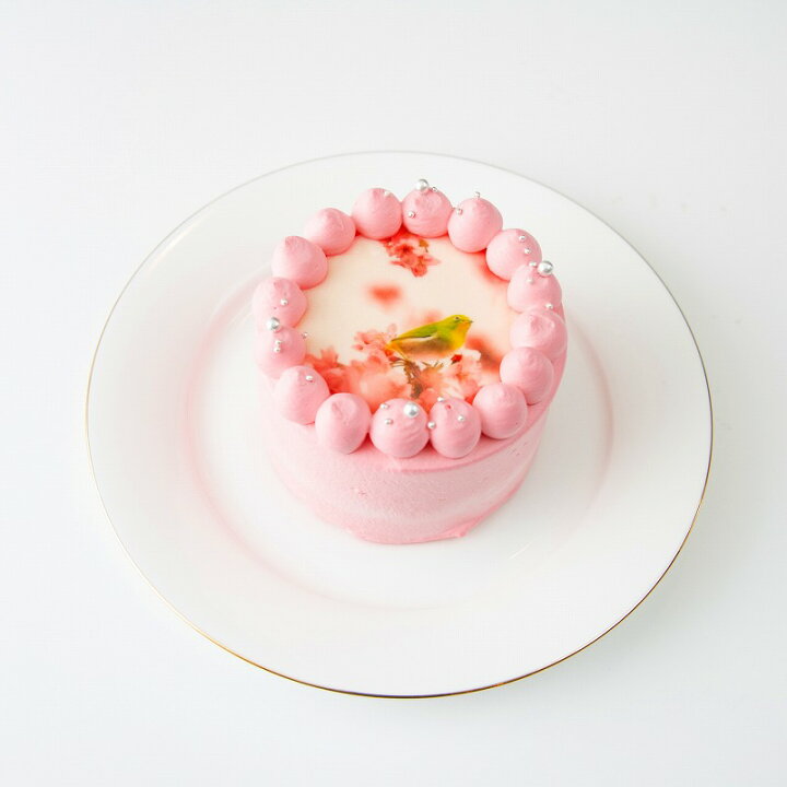 あす楽 写真ケーキ インスタ映え 写真 サプライズ 誕生日ケーキ スイーツ プリントケーキ 6号 ケーキ バースデーケーキ 誕生日 ホールケーキ あす楽 写真ケーキ インスタ映え 写真 サプライズ 誕生日ケーキ スイーツ プリントケーキ 6号 ケーキ バースデーケーキ 誕生日 ホールケーキ
