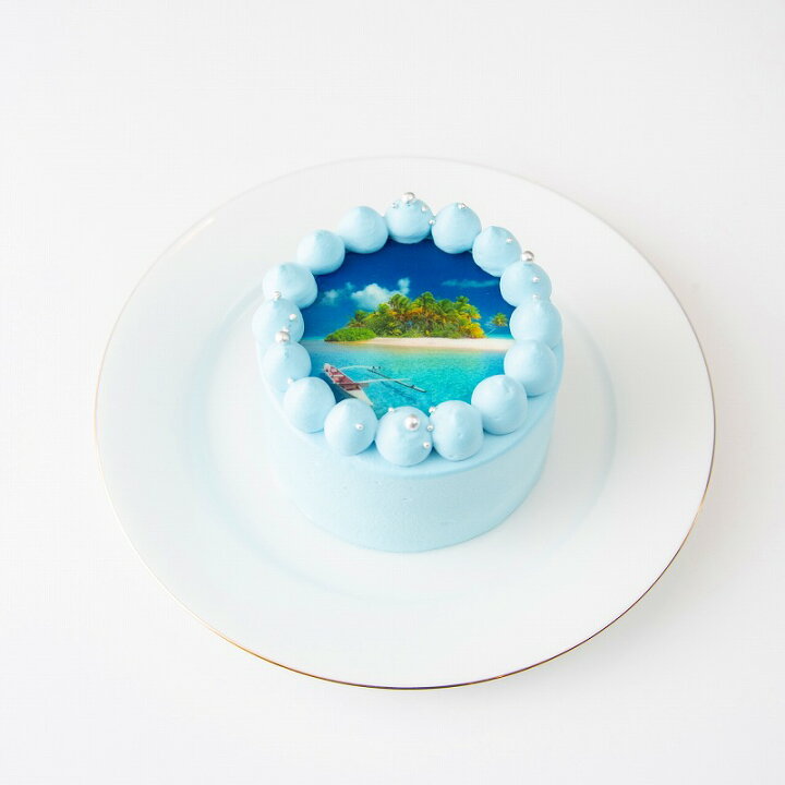 選べる8色 お好きなメッセージ 誕生日ケーキ かわいい センイルケーキ お祝い 6号 ペイントセンイルケーキ 4 5名様向け おしゃれ