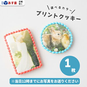 vgNbL[ 1 ( ی^6cm or `8cm×5cm jy vgNbL[ bZ[WNbL[ tHgNbL[ NbL[ Mtg y 킢   ی` lp ` a j LO