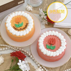 yJo9Fz͂ȃ`[tƂN[̃ZCP[L 6i18cmj5`7ly aP[L ZCP[L 킢  j LO CX^f P[L XC[