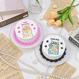 sIׂ9F&DȃbZ[Wt ˂ZCʐ^P[L 4 ( 2`3l )y aP[L ZCP[L 킢  j LO CX^f P[L XC[c z[P