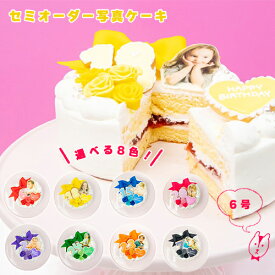 楽天市場 かわいい 写真 イラストケーキ ケーキ スイーツ お菓子の通販