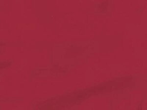 EChu[J[ Y t jO  ͂ h h  EBu VJW ʋΒʊw ˍރAE^[ EH[LO WMO X|[c ďH~ / EBhu