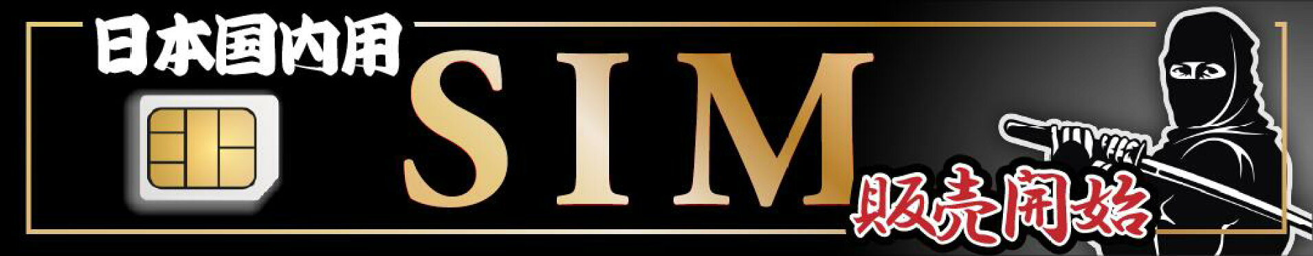 国内プリペイドSIM