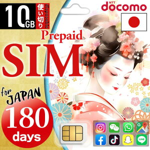 vyChsim simJ[h vyChV { vyCh SIM 10GB/180 hR VJ[he ꎞA }`sim simst f[^psim ĝsim docomo eUO 180 6 180 }C