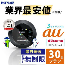 wifi レンタル 30日 au 無制限 【最安値に挑戦】 ポケットwifi レンタル 即日発送 レンタルwifi レンタルWi-Fi Wi-Fiレンタル docomo ソフトバンク wi-fi ワイファイ 国内 WiFi Wi-Fi ポケットWi-Fi ポケットワイファイ 入院 モバイルWiFi 完全無制限 ホームルーター 1ヶ月