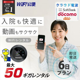 WiFi レンタル 5日 入院 即日発送 レンタルwifi レンタルWi-Fi レンタルワイファイ wifiレンタル Wi-Fiレンタル ワイファイレンタル wi-fi ワイファイ 国内 ポケットwifi ポケットWi-Fi ポケットワイファイ 旅行 一時帰国 sim モバイルWiFi 5日 e5383 ソフトバンク 50GB