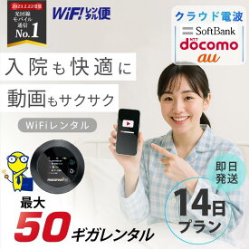 WiFi レンタル 14日 入院 即日発送 レンタルwifi レンタルWi-Fi レンタルワイファイ wifiレンタル Wi-Fiレンタル ワイファイレンタル wi-fi ワイファイ 国内 ポケットwifi ポケットWi-Fi ポケットワイファイ 旅行 一時帰国 sim モバイルWiFi 2週間 e5383 ソフトバンク 50GB