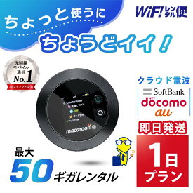 WiFi レンタル 1日 即日発送 レンタルwifi レンタルWi-Fi レンタルワイファイ wifiレンタル Wi-Fiレンタル ワイファイレンタル wi-fi ワイファイ 国内 ポケットwifi ポケットWi-Fi ポケットワイファイ 入院 旅行 一時帰国 sim モバイルWiFi 1日 501 ソフトバンク 50GB 空港