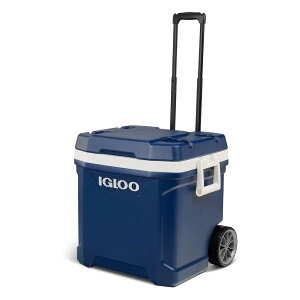 yzIGLOO 62qtuMAXCOLD 58L LX^[tvN[[{bNX/ԗ֕t/CO[/CO[/2022NVF
