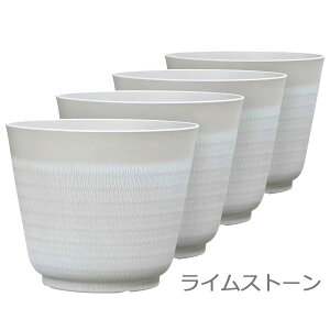 yzTrendspot v^[ 4Zbg a36.8cm×30.5cm Wheatfield/A/Aؔ/Aւ/12