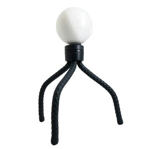 yzNEWGALE [dǂłZT[Cg 450[(邳iK) Or/}Olbg/ǂłt/zsv/GjEFAZT[Cg/펞_/ZT[[h