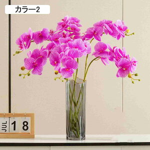 tFCNt[  ԕrɓ FreeSize t[AWg lHA VNt[ z[R[q[e[u Z^[s[X _CjOe[ufR[V J[1