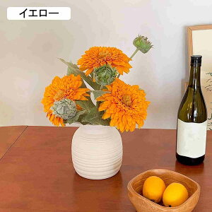 ԃZbg ԕrt u CeA  v[g rO  _CjO a Mtg FreeSize ~  A A ƒ  ItBX ze g fXNgbv f