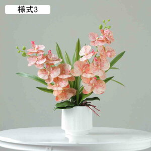  t[ l3 FreeSize ͂Ȃ  lHϗtA ԕrt ԃZbg u CeA  v[g rO  _CjO a Mtg p z[ 뉀