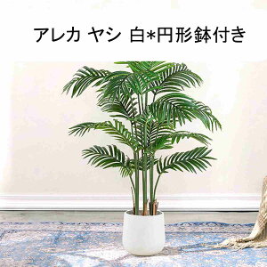 �l�H�ϗt�A�� �A���J���V ��^�ϗt�A�� ��^ ���� �I�V���� �X�^���h ���A�� ���R�̎��� ���C�ȃO���[�� �t�ꖇ�ꖇ�����I�� �ԃo�X�P�b�g�t�� �S�₷�炮�� ���r���O 160cm ���� �C���e���A