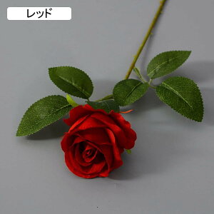 10{  sN o [Yu[P KN CeA ͂Ȃ VN _Ȏ} N₩ȐF Aȃ^b`  Ԃ̉ԑ JXj  F*10 뉀 t[AWg z[