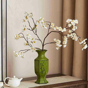  ֑} VNt[ t[2 ԕrt F  tFCNu[P i ԑ ĕi A CeA ͂Ȃ ʐ^wi Be lH A DIY ֏ t