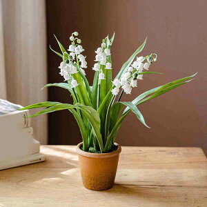 tFCNt[ A  SET    t[AWg fR[V AȎ}t }`J[ rO }̊px\ sv ͂Ȃ u 闖 