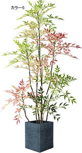 ie V| ^ tFCNO[  200CM @ׂȗt A  k rO CeA u \t@ Ԕ J[1 \t@ y ȒP X^h