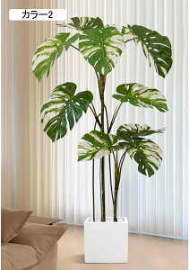 Xe  lHϗtA ^i { ͂Ȃ A X^h rO ItBX  R[i[ɍœK 150CM CeAO[ Vzj J[3 JƏj tFCNO