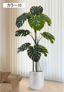 Xe  lHϗtA ^i { ͂Ȃ A X^h rO ItBX  R[i[ɍœK 150CM CeAO[ Vzj J[3 JƏj tFCNO