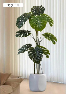 Xe  lHϗtA ^i { ͂Ȃ A X^h rO ItBX  R[i[ɍœK 150CM CeAO[ Vzj J[3 JƏj tFCNO