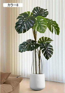 Xe lHϗtA ^  J[3  CeA i` RȎp ItBXΉ Xܑ  Ƃi JXj JƏj Ԏd؂ sv 130CM v