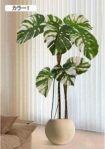 Xe lHϗtA ^  J[3  CeA i` RȎp ItBXΉ Xܑ  Ƃi JXj JƏj Ԏd؂ sv 130CM v