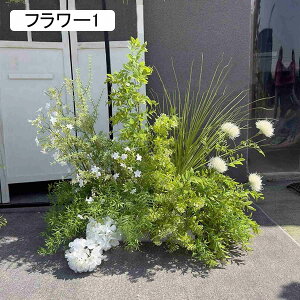 lHϗtA  t[7 CeA ͂Ȃ O t[AWg VNt[  Xܑ  EGfBO FȂ p[eB[p sv 