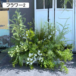 lHϗtA  t[7 CeA ͂Ȃ O t[AWg VNt[  Xܑ  EGfBO FȂ p[eB[p sv 