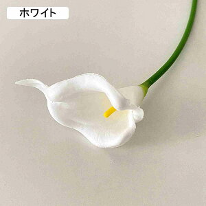 10Zbg I_JCE  ԃu[P tFCNĜ悢 EFfBO F*10 |[` EBhE  ԑ fCW[ lHϗtA CG[ Ԃ݂ DIY Iȉ 