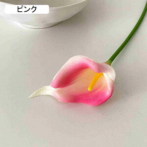 10Zbg I_JCE  ԃu[P tFCNĜ悢 EFfBO F*10 |[` EBhE  ԑ fCW[ lHϗtA CG[ Ԃ݂ DIY Iȉ 