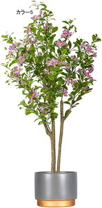 lHϗtA ^ CeA t N X^hA ^   { J[9  ֏ i~ sv X^h 140CM i` Adグ R