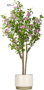 lHϗtA ^ CeA t N X^hA ^   { J[9  ֏ i~ sv X^h 140CM i` Adグ R