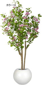 lHϗtA ^ CeA t N X^hA ^   { J[9  ֏ i~ sv X^h 140CM i` Adグ R