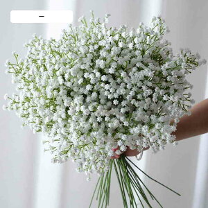 ݑ  10{  JX~ ݂ { A[eBVt[ ԑ Op  H51cm zCg