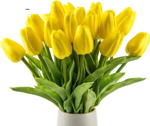  ͂Ȃ `[bv  CeA Mtg ؂Ȑl֊ӂ̋C` ԑ CeA A[gt[ 20{ F ƁAAXAiXAAp[eB[Ȃ