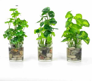  ϗtA k KXRbv 3_Zbg CeAO[ tFCNO[  ϗtA   rO ItBX  sv v[gɂ