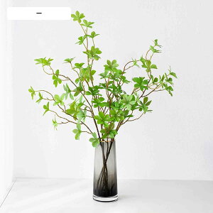 tFCNO[ hE_ccW 4{Zbg lHϗtA  CeAO[ Ηt EH[^[^Cv 70cm { A  ItBX rO _CjO 