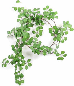 tFCNO[ ݂艺 ϗtA  175cm Ǌ| CeAO[ GKg y 1{Zbg