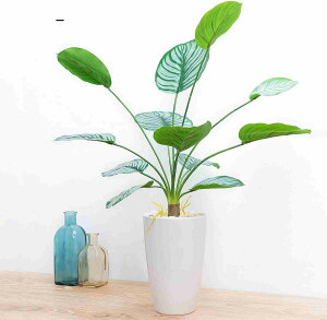 tFCNO[ lHϗtA 65CM ۃ|bg t   CeA G L Rی b炸 sv  ItBX z[ ze fR[V Mtg