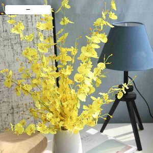  CeA A[gt[ ԑ x闖 5{ t[ v[g Mtg 蕨 JXj a    EFfBO u[P   Be p z[ 뉀 Lb