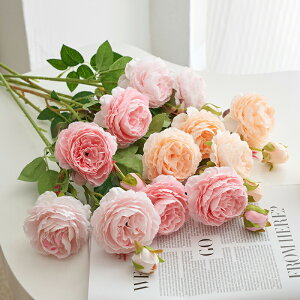 �t�F�C�N�t�����[ ��̓� ���� �͂�Ȃ��� �A�[�g�t�����[ �t�F�C�N�t�����[ �C���e���A �J�[�l�[�V���� ���A�� �~�j �I�[�i�����g �]�� �]�� �a���� �h�V�̓� ���� �� ���� �i���X �I�t�B�X