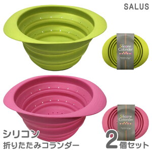VR ܂肽 R_[ ؂U 2Zbg ۑe ϔM ϗ 14cm H  {E  ʕ  ؂ Lb`pi  SALUS  lR|X