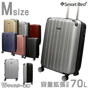 y53%OFFeʊg\z X[cP[X M TCY L[P[X M ^ g@\t y t@Xi[ e 60L`70L WLX^[ TSAbN y L[obO sobO s΂ 
