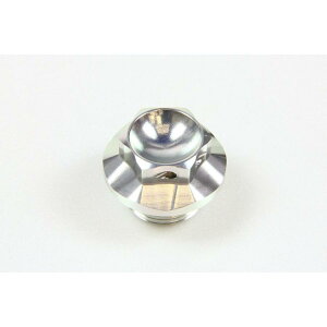 AgCI ICtB[Lbv M20XP2.5 Vo[ 30106-SL