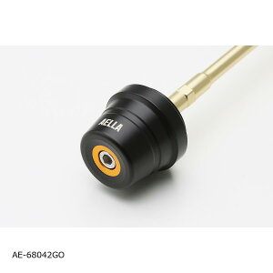 AELLA (AG) tgANXXC_[ S[h BMW R12 /R12nineT AE-68042GO